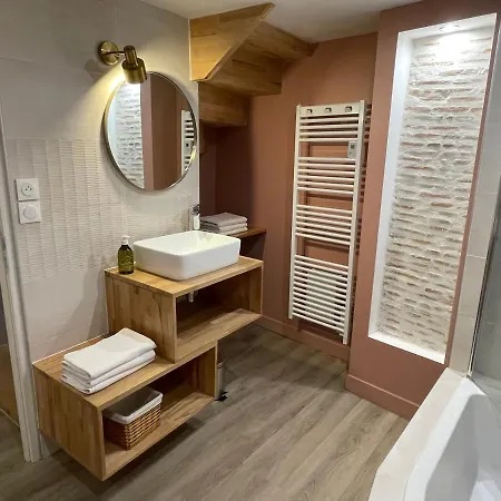 Cosylocation - Centre - Climatise * Vienne (Isere)